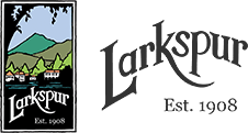 Larkspur